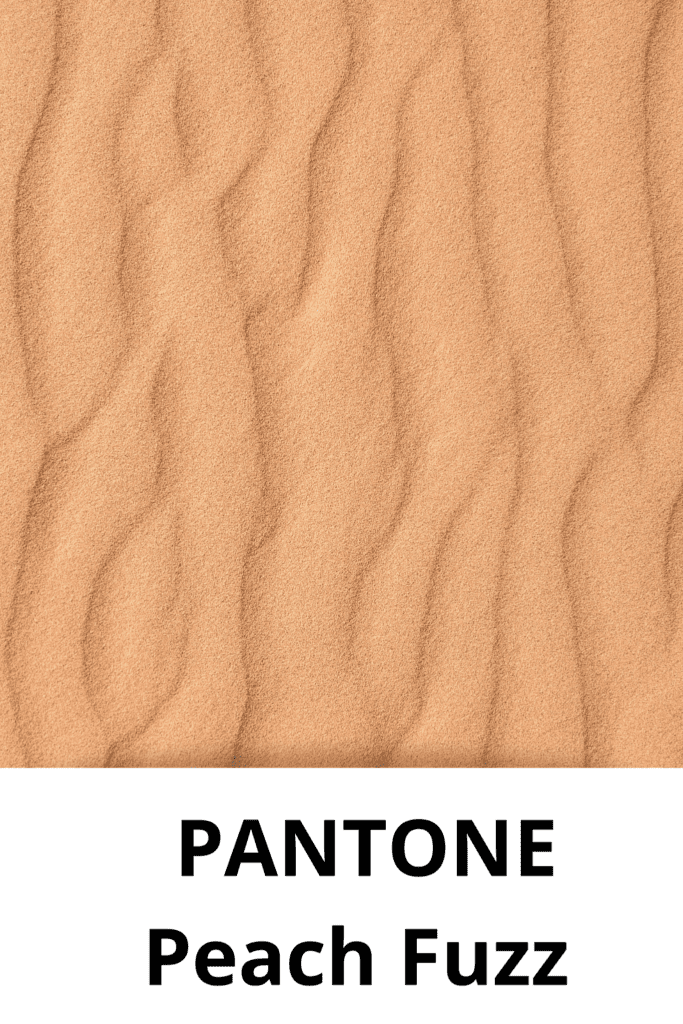 Kolor Pantone Peach Fuzz na piaskowcu, miękki i naturalny odcień.
